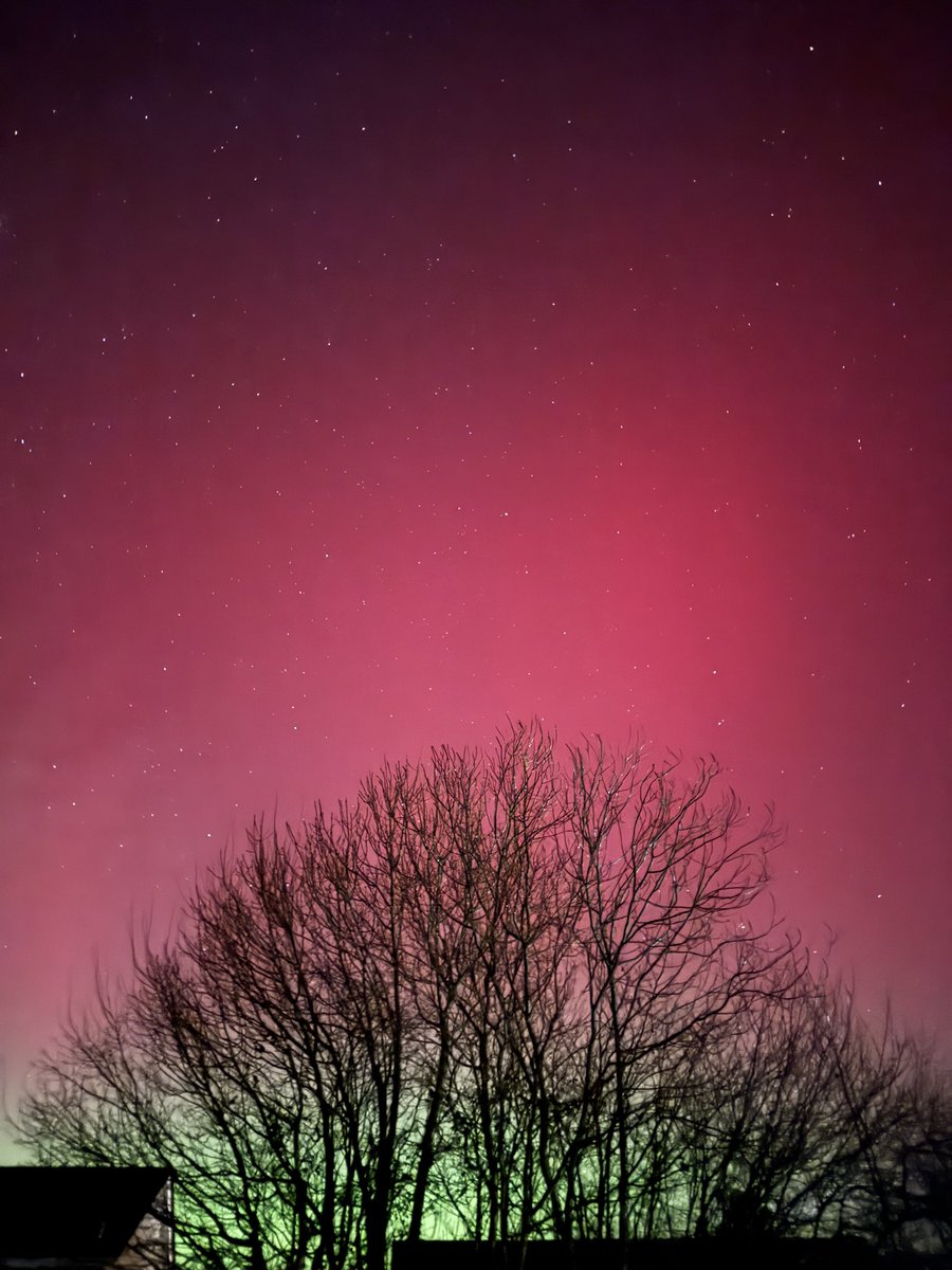 Northern Lights over St. Austell, Cornwall 🌟 Absolutely stunning and a dream come true for me 😍
#northernlights #auroresboreales #Cornwall