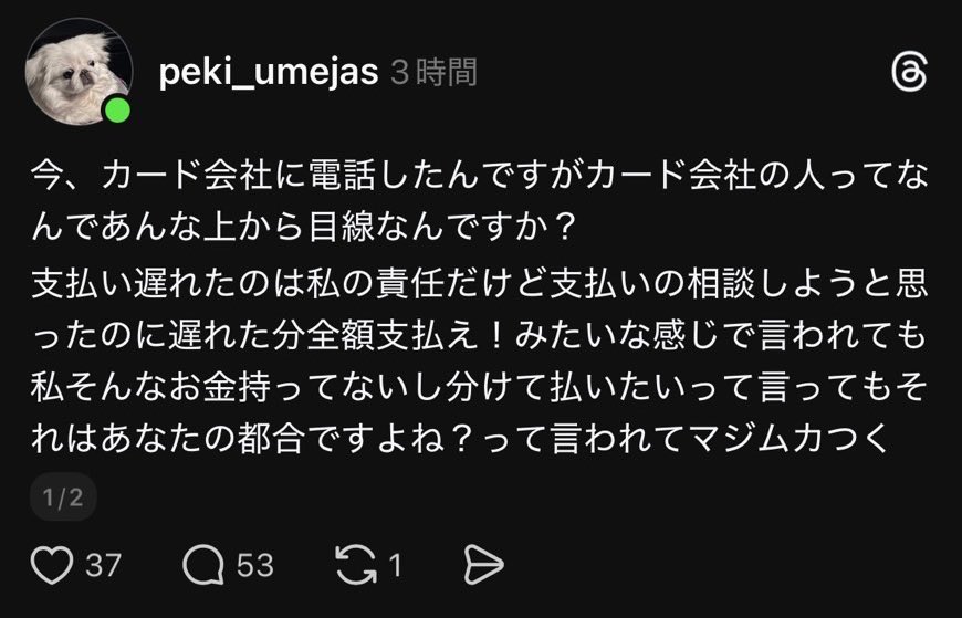 yukitichqn's tweet image. 全部お前が悪くて草