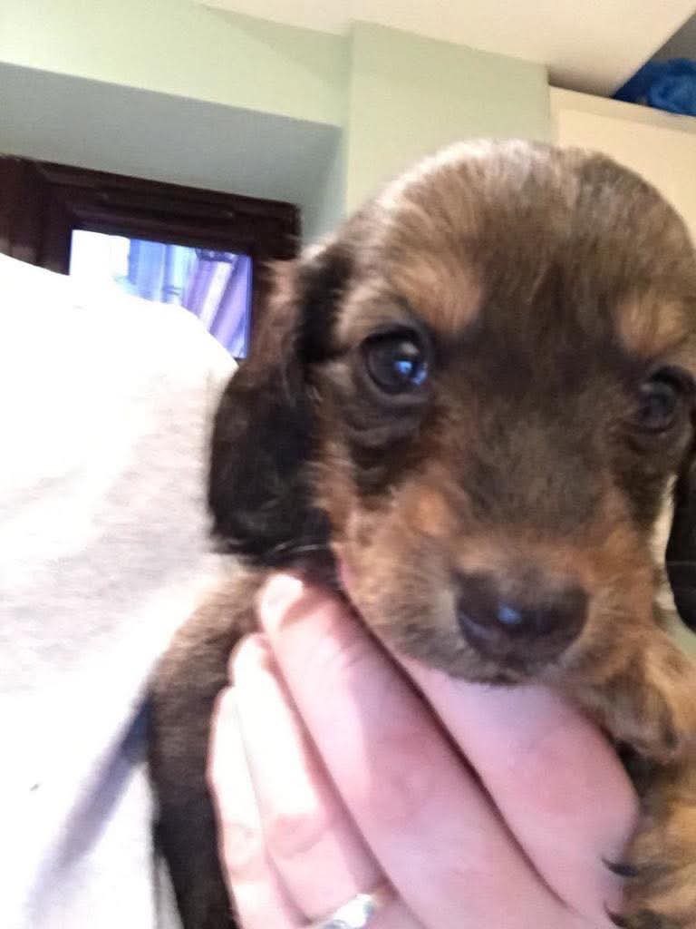 Climping Cottage tweet media