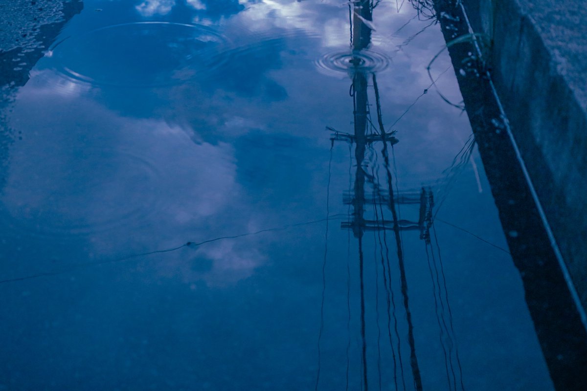 gustfronty797's tweet image. 理性に堕ちないで。