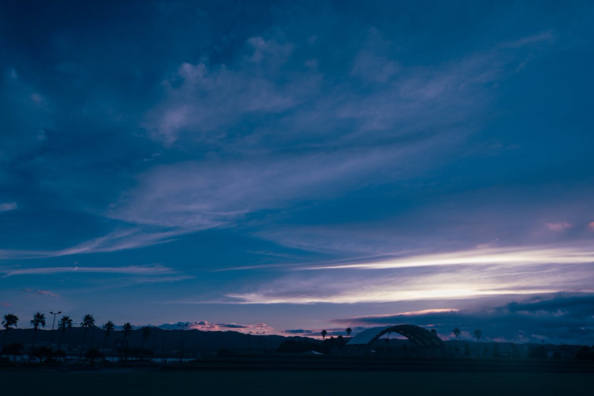 gustfronty797's tweet image. 理性に堕ちないで。