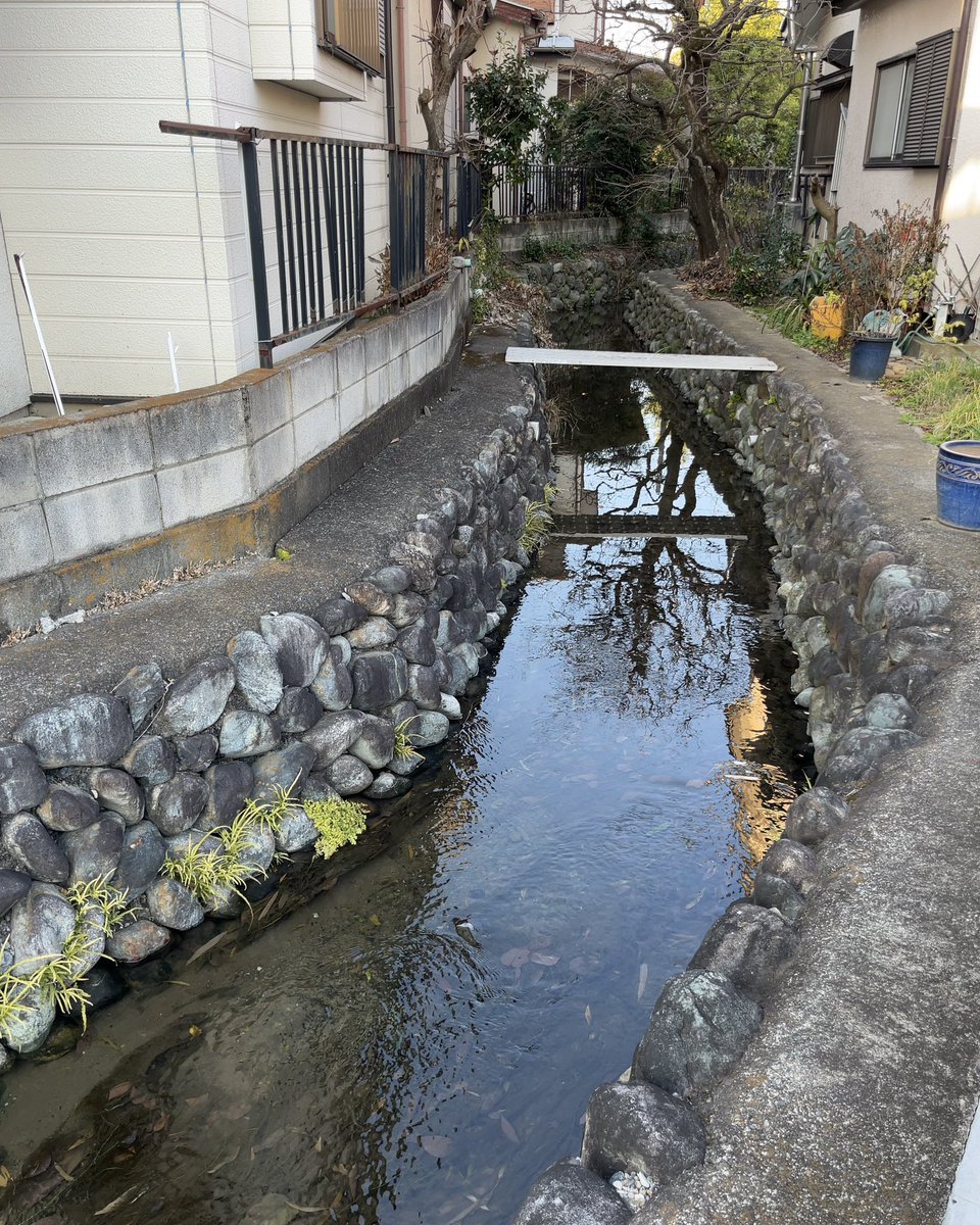 frog_frog's tweet image. 住宅の間を縫うように流れる一の宮用水。水路と市境はほぼ一致しており、昔から同じ場所を流れているのだとわかる。
〔日野市/多摩市〕