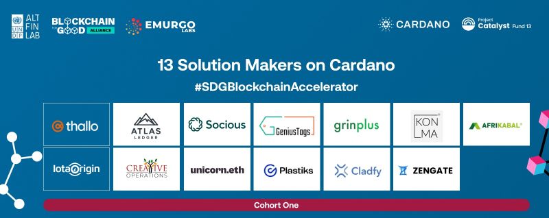 UNDP AltFinLab tweet media