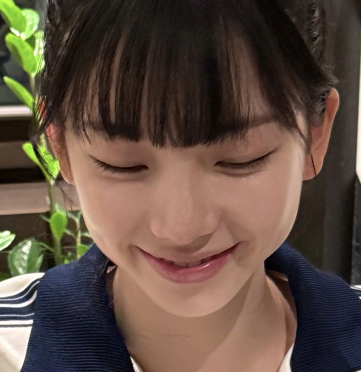 katarinabob's tweet photo. 만두ㅈㄴ기여운데어떡하됴 https://t.co/wZ9Yb2yaJE