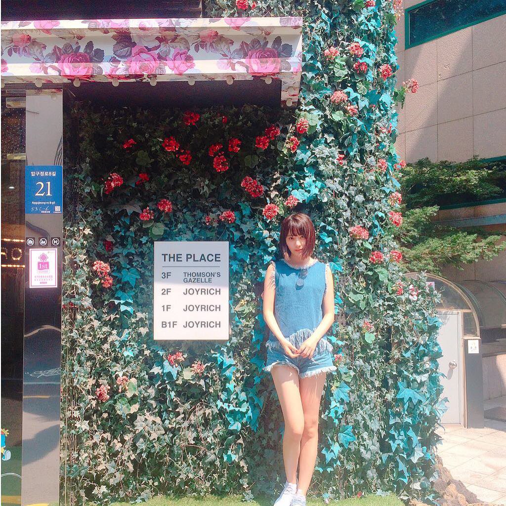 39_kamja's tweet image. 2016년 사쿠라 (한국여행옴