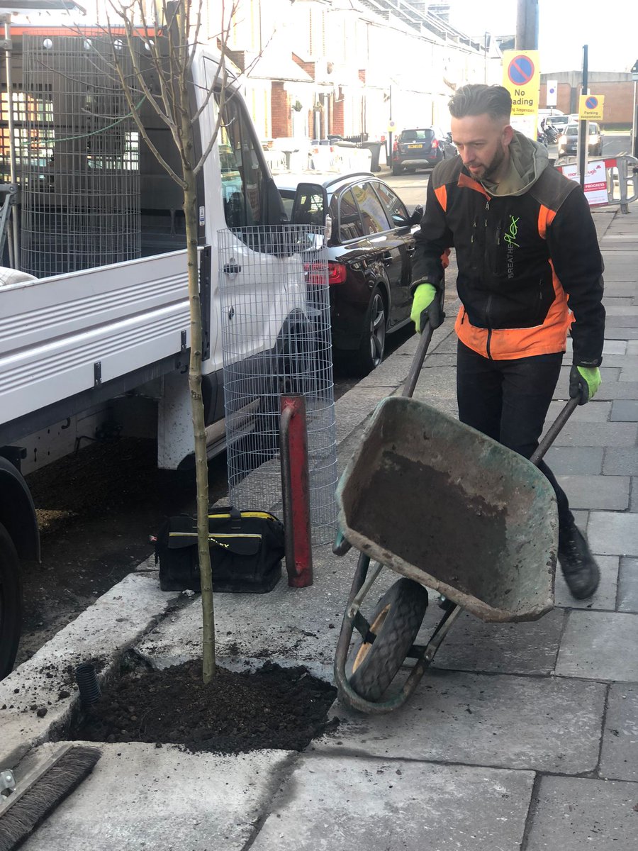 Trees for Streets tweet media