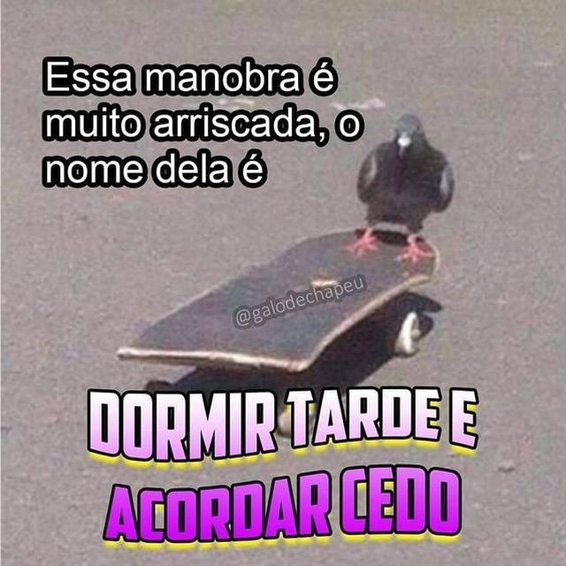 TerrorCotidiano's tweet photo. https://t.co/ZQxpdrH7yn