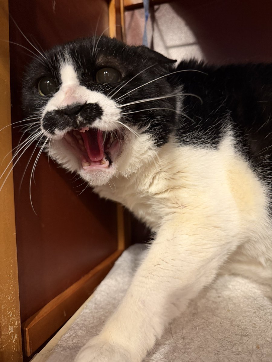 バイクに乗ってる時の@sh1nj1_choro