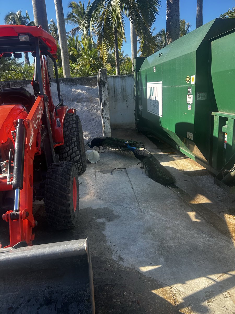 Rob Dillinger tweet media