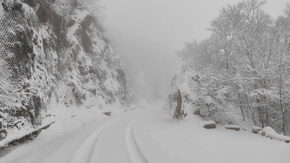 pepmollevi's tweet image. Bon tou de neu a @montseny a Santa Fe del Montseny @Vakapiupiuu #3catinfo #eltemps3CAT @Meteoralia @3CatInfo @baix_montseny @MetBaixMontseny @MeteoredES @AEMET_Cat @meteomedia @ElTiempo_tve @SoniaPapell @SergiLoras @gemmapuigf @TomasMolinaB @jjanue