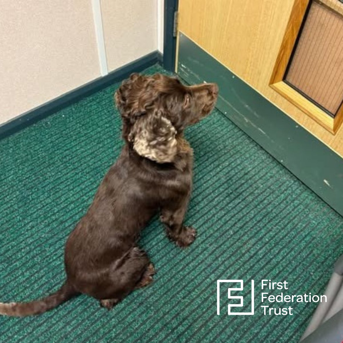 First Federation Trust tweet media