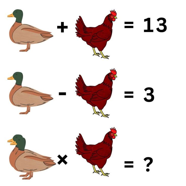 Dr Sania tweet media