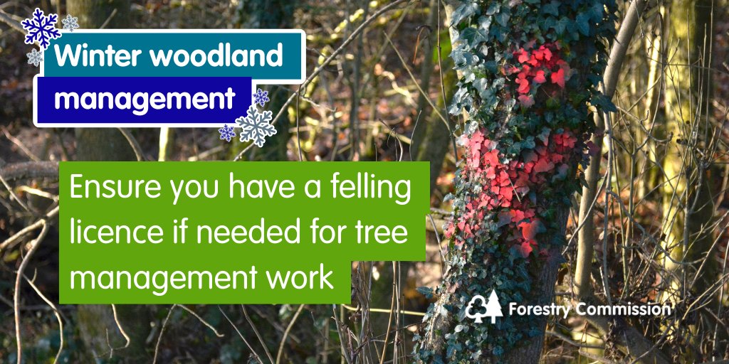 Forestry Commission tweet media