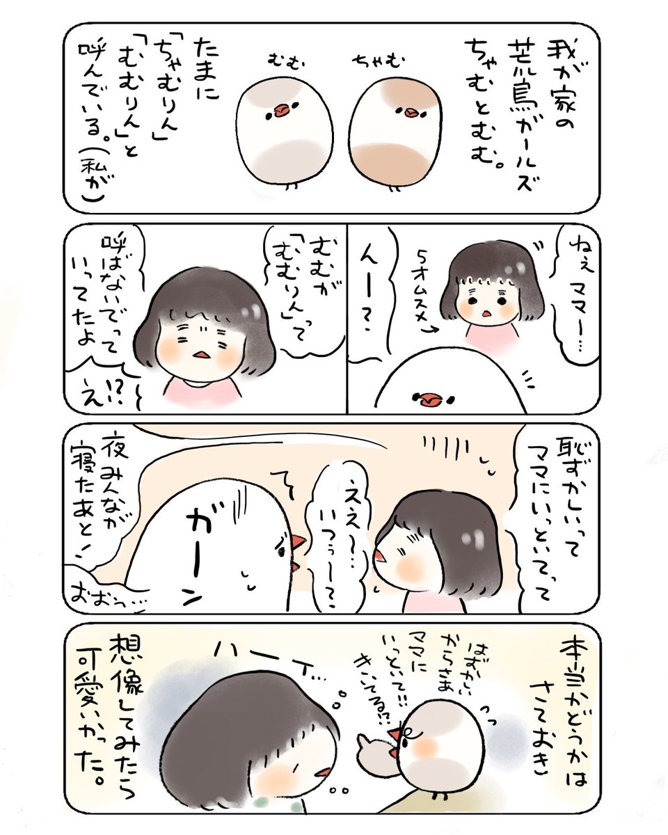 我が家のちゃむむむ日記 