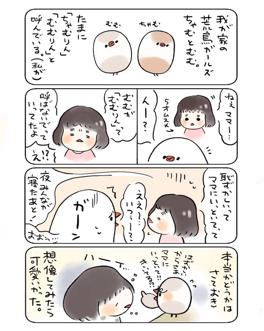 我が家のちゃむむむ日記 