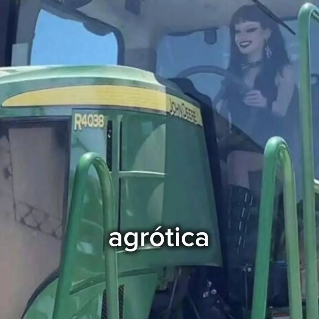 Shitpost só que de verdade (@shitpostverdade) on Twitter photo 