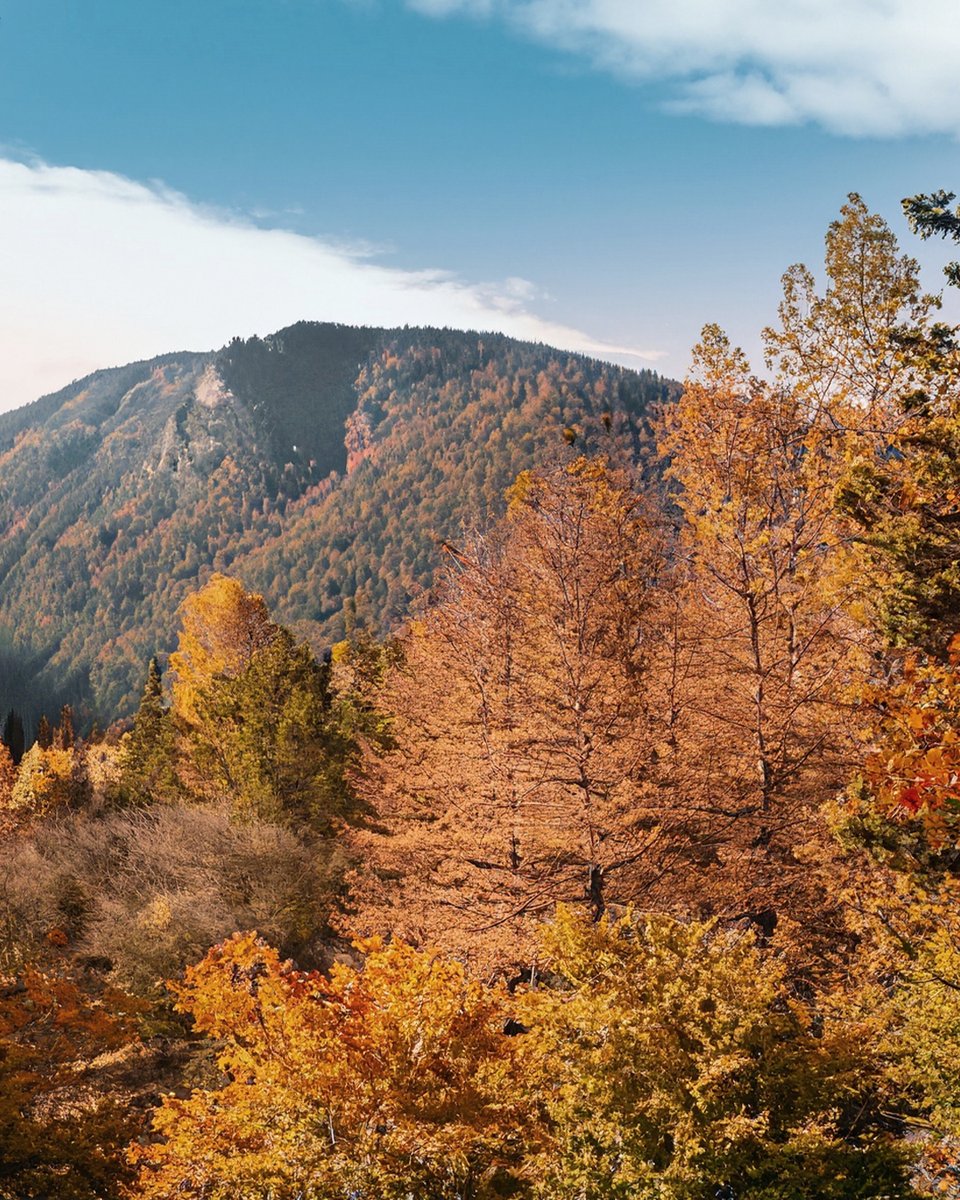 Luke Pearson tweet media