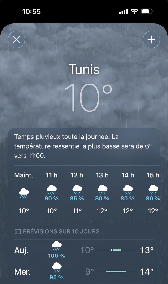 تونس ☪︎ Tunisia tweet media