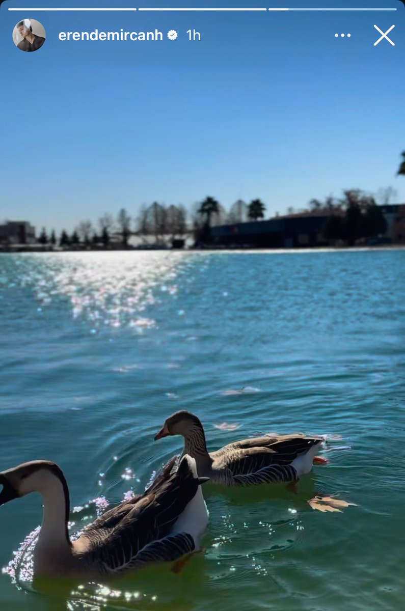 damlaylover's tweet image. سرحات راح لها المعهد 🤣😭
خلاص ترى ماهي زوجتك راحت عليك

#Yılser #HalefKöklerinÇağrısı