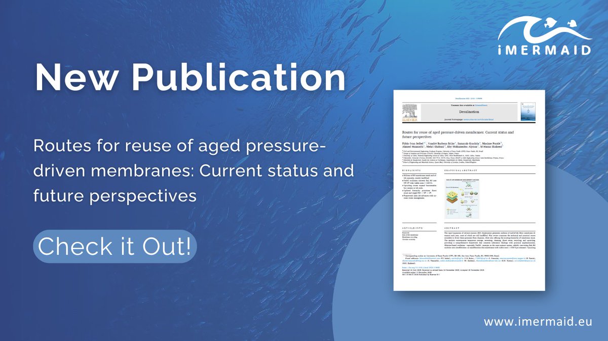 iMERMAID 🇪🇺 tweet media