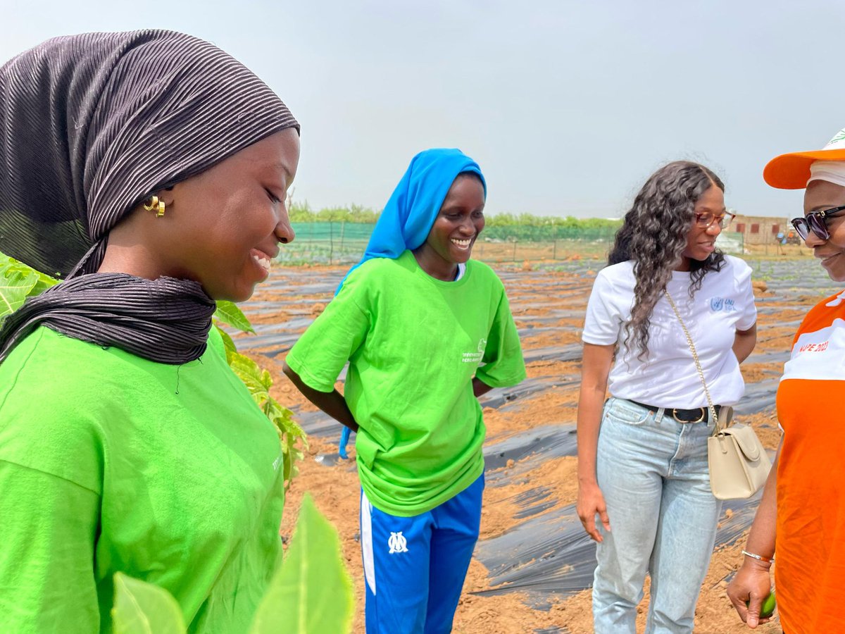 UNUINRA's tweet image. The implementation of our #INFoCAT project,has been #inclusive in its design with diverse stakeholder participation and deliberate investments(including capacity building, skills training and financing)-to ensure women and youth empowerment in West Africa’s Green Agritech space.