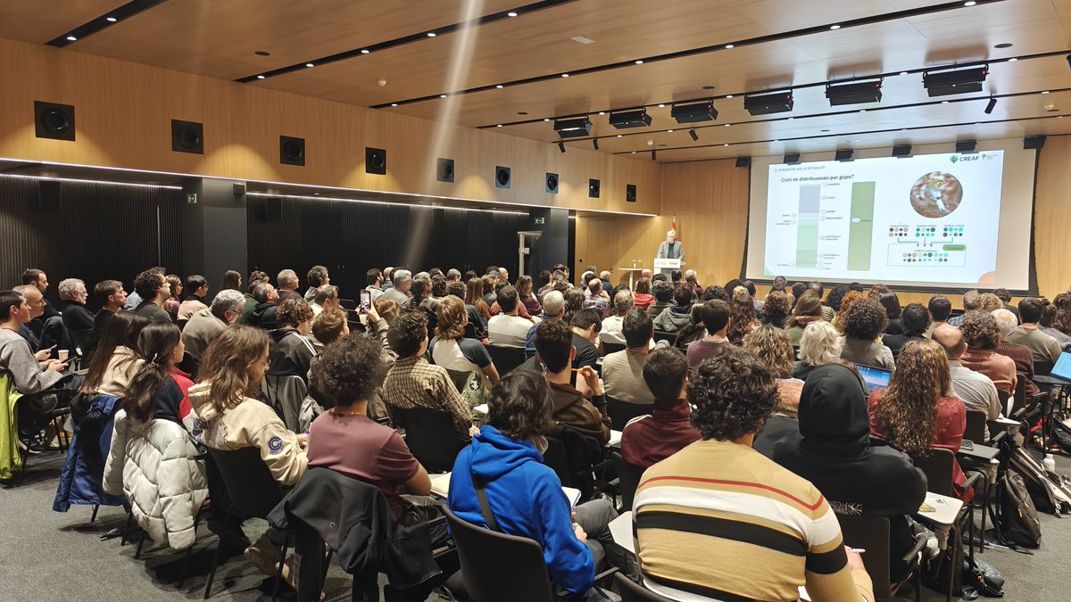 Prismàtic tweet media