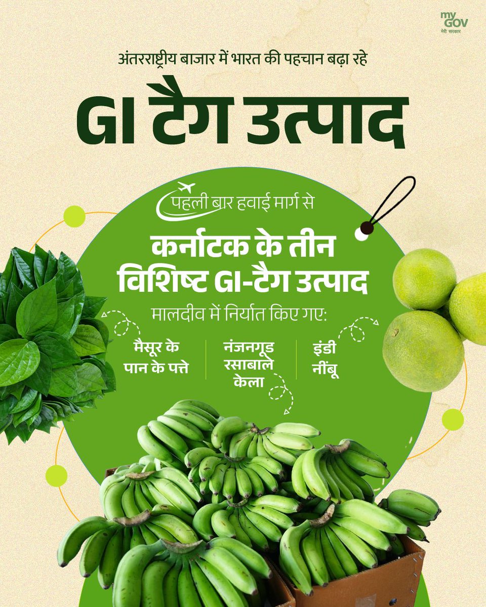 MyGovHindi's tweet photo. अंतरराष्ट्रीय बाज़ार में भारत की पहचान और मजबूत 🇮🇳

पहली बार हवाई मार्ग से
कर्नाटक के तीन विशिष्ट GI-टैग उत्पाद मालदीव निर्यात किए गए -
- मैसूर के पान के पत्ते
- नंजनगुड रसाबाले केला
- ईंडी नींबू

यह कदम स्थानीय उत्पादों को वैश्विक मंच पर नई उड़ान दे रहा है।

#GIProducts #NewIndia 
#VocalForLocal #GITag