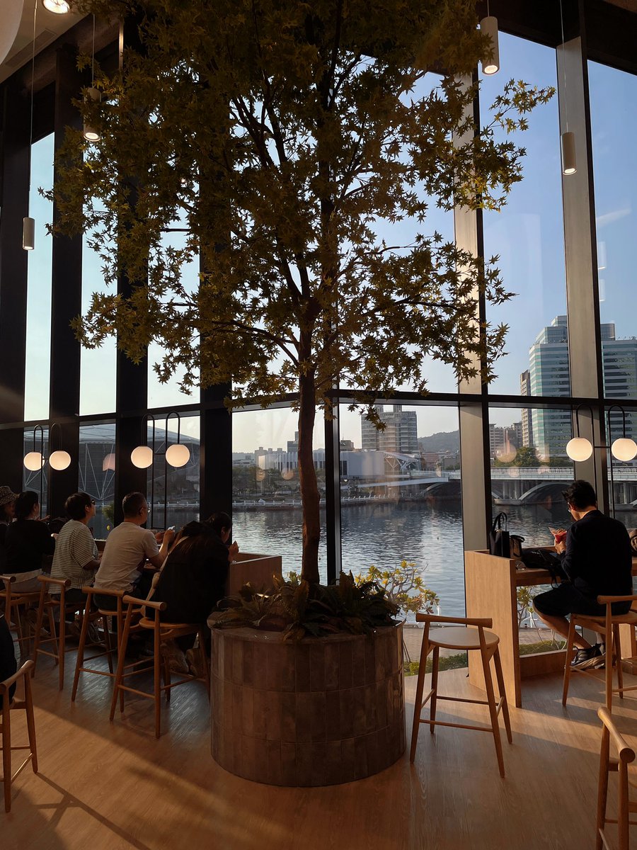 女明星 tweet media