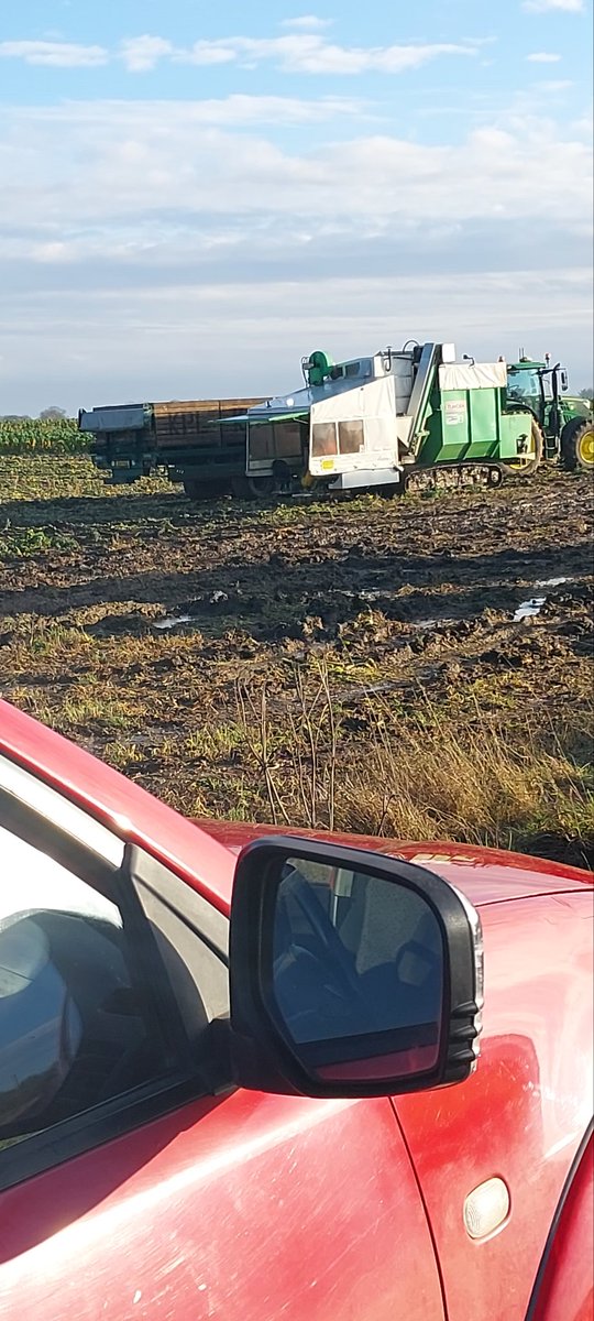 AlanMstev66's tweet photo. Back at #BrusselSprouts  yesterday typical supermarkets orders started at just 6boxes finished at 12 boxes https://t.co/Vel2WdJ5H9