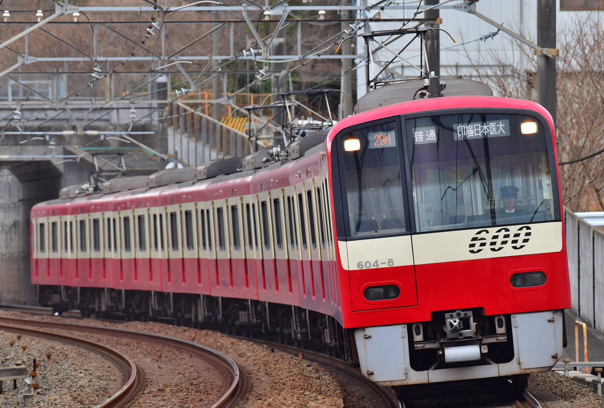 けんちゃん げんき？