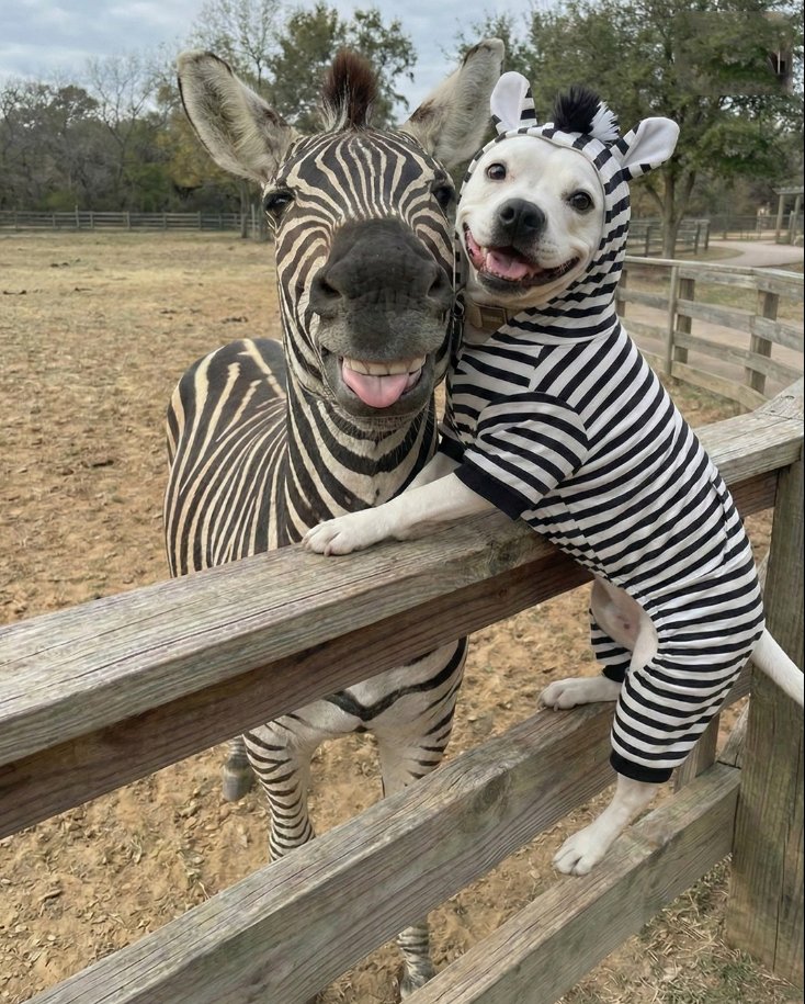Best selfie ever 🐾😅🥰