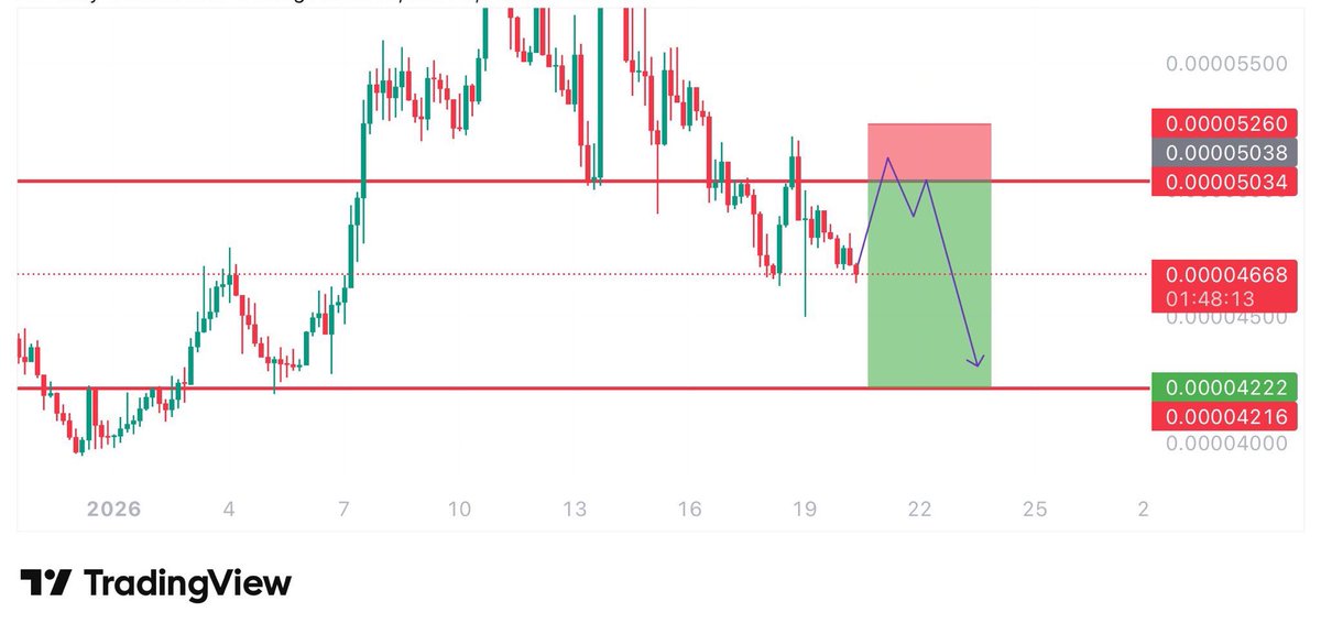 gentlecryptoo's tweet photo. Currently watching $GOAT LONG and possible short on $RATS
#RATSUSDT #GOATUSDT 
#CryptoCommunity #CryptoMarket 
Join our free trading community below ⬇️ 

https://t.co/uo8gNHoZmc https://t.co/2AlHbIexnO