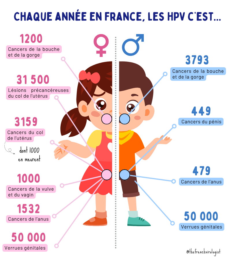🔷Hier nous évoquions l'immunité de groupe conférée par la vaccination HPV observée en Suède, aujourd'hui on va se concentrer sur le profil de sécurité du vaccin Gardasil 9.