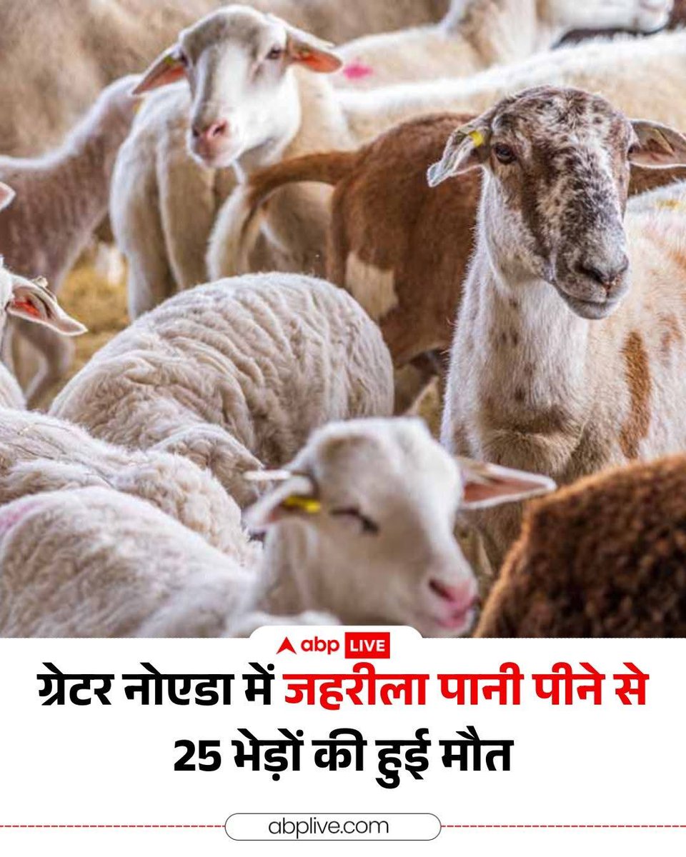 Samajwadi Party Media Cell tweet media