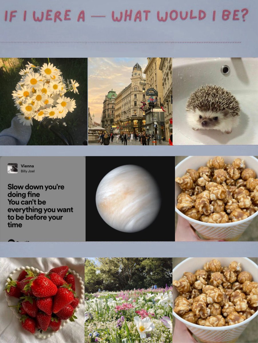 kantprep's tweet image. 