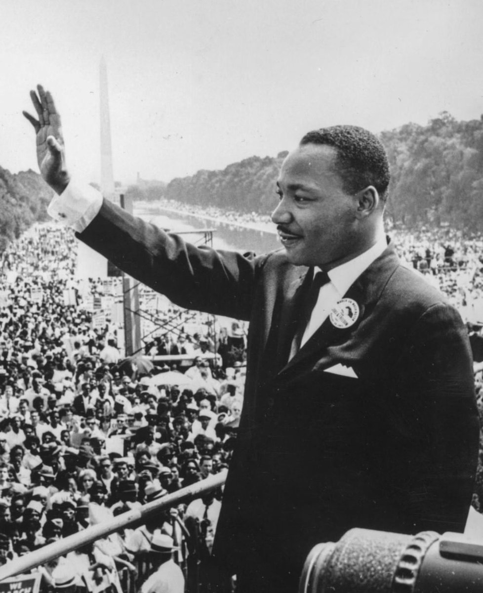 HailieSahar tweet media