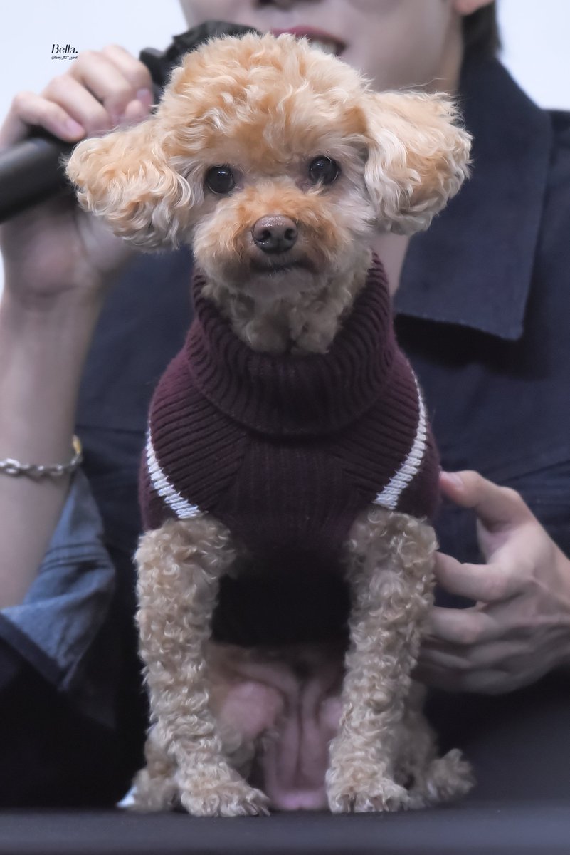 260109 프롬 5차 팬사인회 HQ

아빵이와 딸랑구가 똑같이 생겼어

#성열 #이성열 #인피니트 #sungyeol #INFINITE