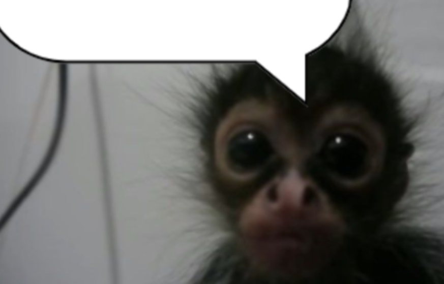 nasci tarde demais pra manter uma comunicação via cartas

cedo demais pra pilotar carros voadores

mas na época certa pra ter um plano de internet com preço fixo até janeiro de 2028