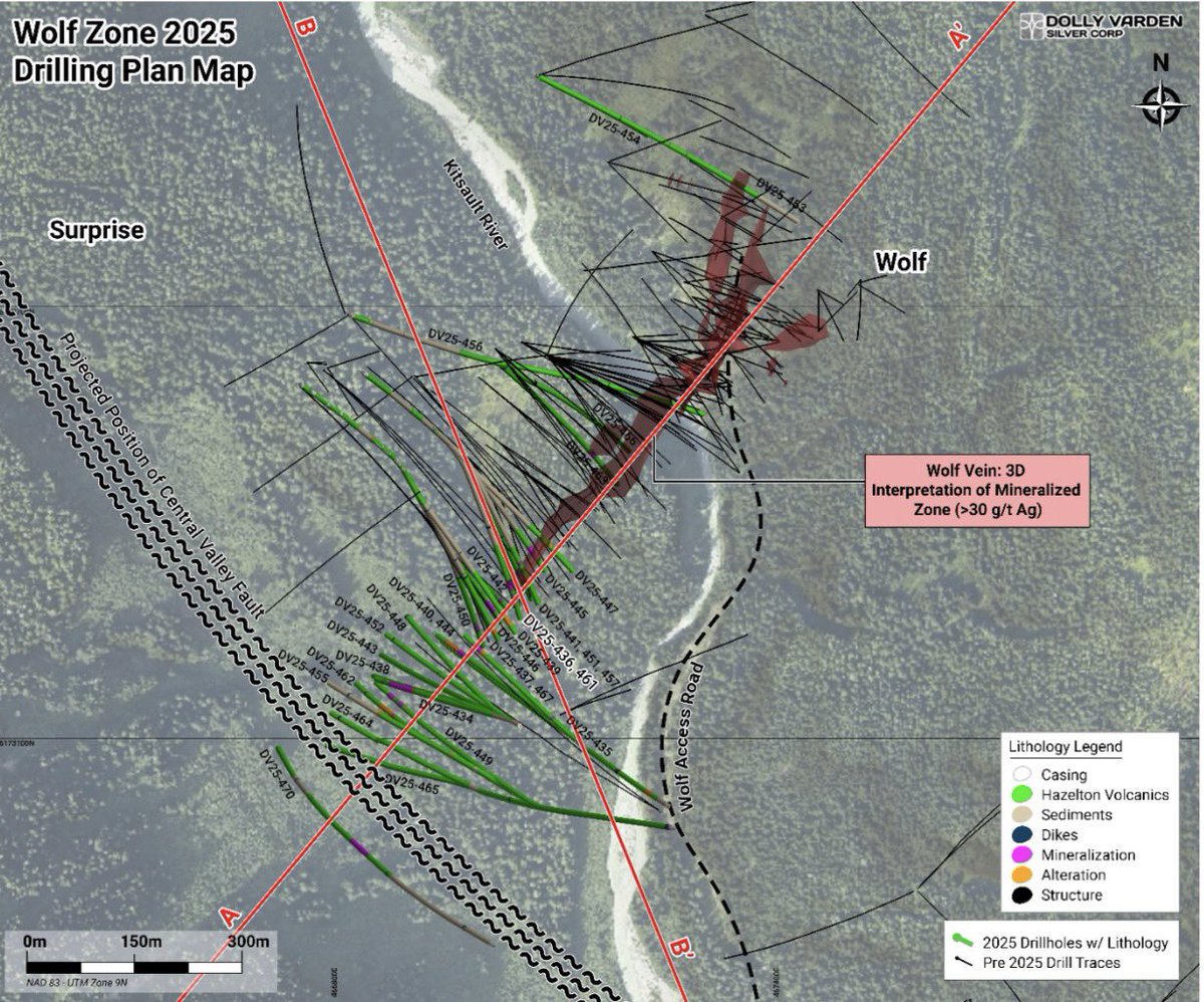 Dolly Varden Silver tweet media