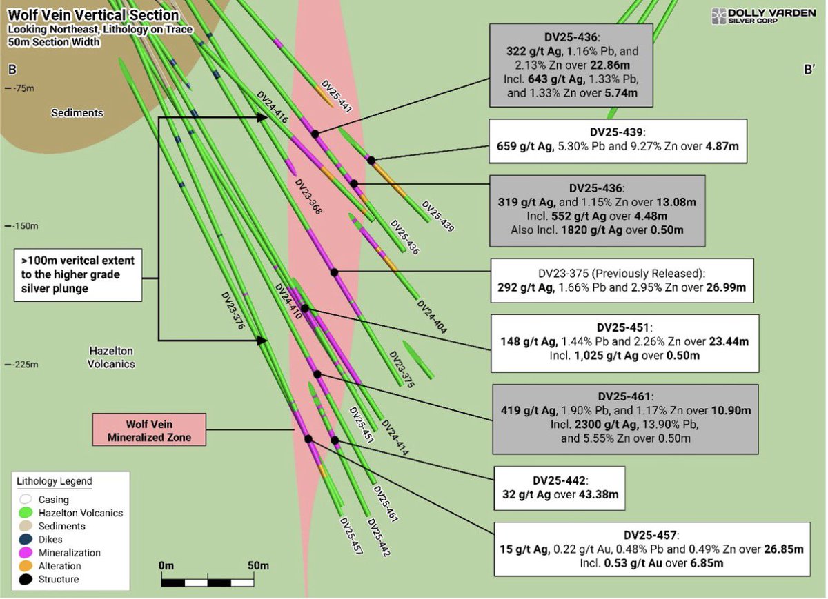 Dolly Varden Silver tweet media