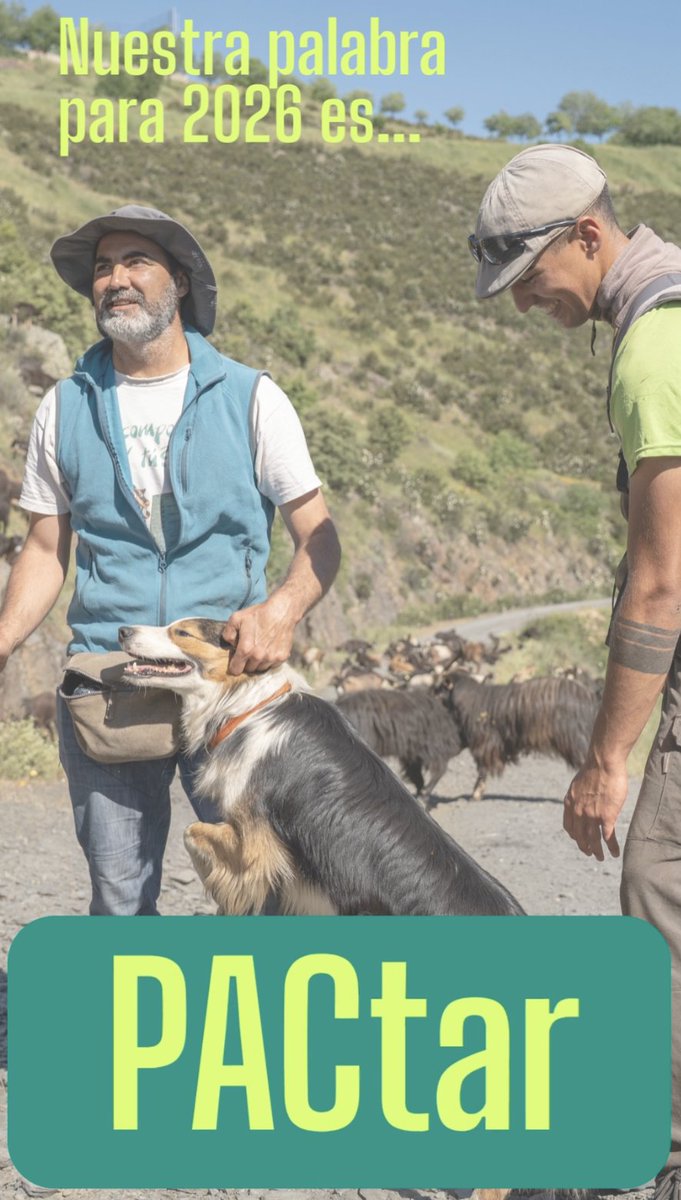 Palabra 2026: #PACtar.

PACtar para escucharnos, para buscar puntos en común y para construir una #PAC que esté a la altura del reto:
🌾 rentas dignas
🤝 comunidades vivas
🌍 ecosistemas cuidados
Avanzar es PACtar. Siempre que se pueda. Incluso cuando no
🔗porotrapac.org/este-ano-pacta…