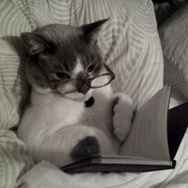 mvncht's tweet photo. Abro hilo de libros que voy leyendo este año (2026) https://t.co/xdzPNNwX0Q