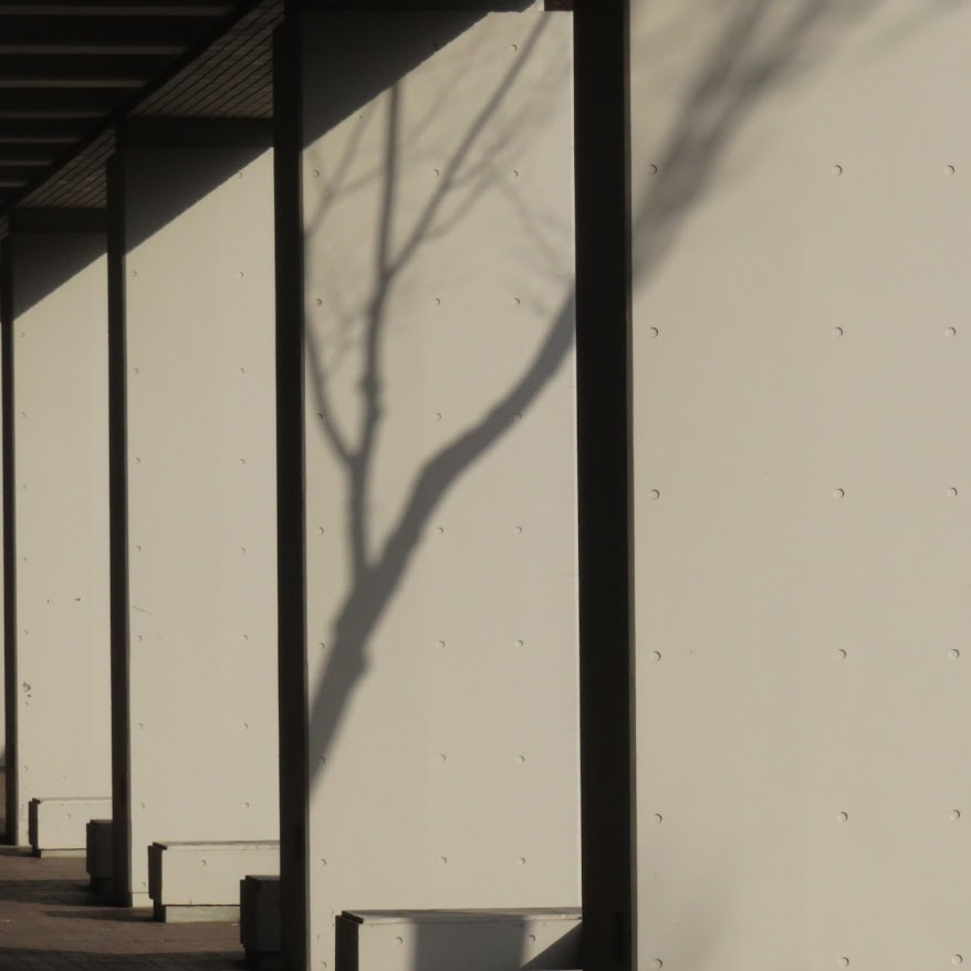 たまやかり (@neotama0000) on Twitter photo 