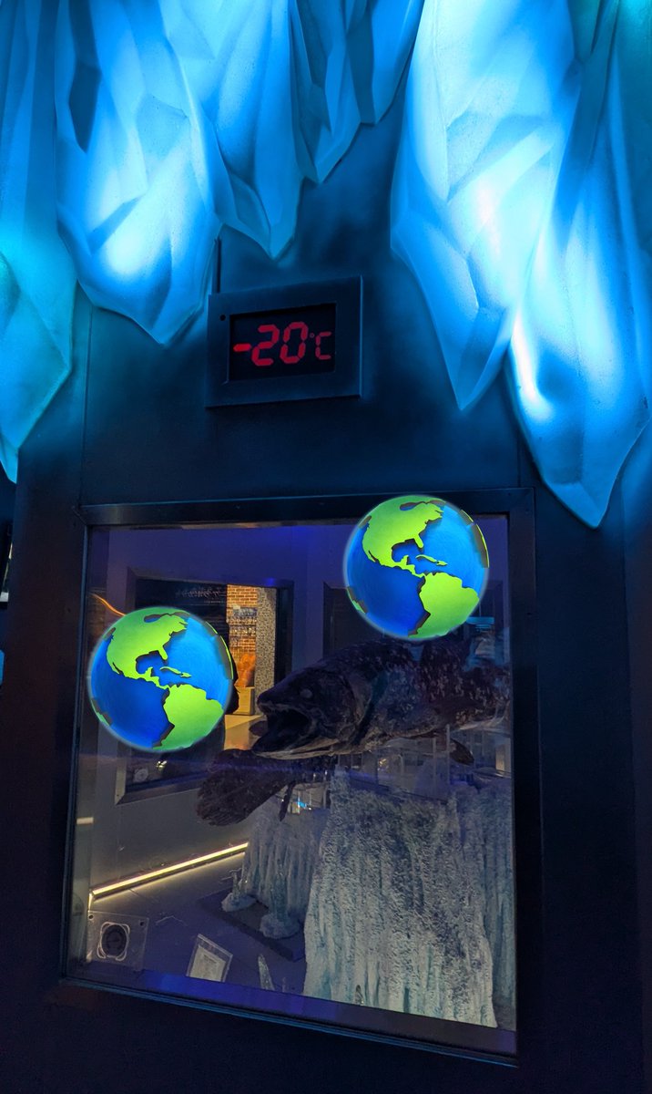 木偏の何か tweet media