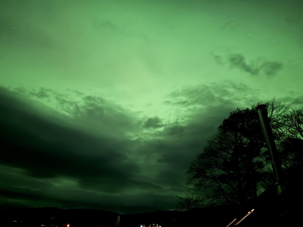 RayTheBorderOnMull 🐾 tweet media