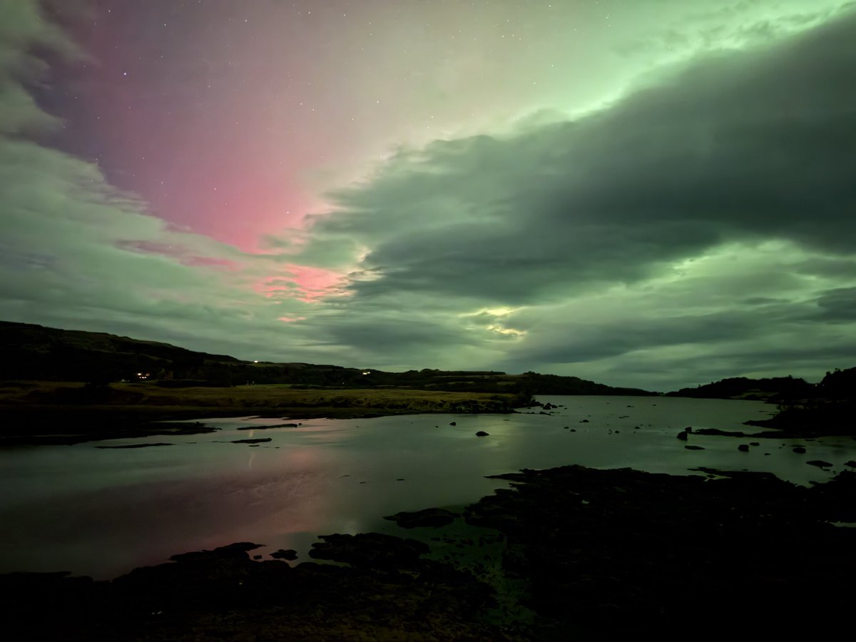 RayTheBorderOnMull 🐾 tweet media