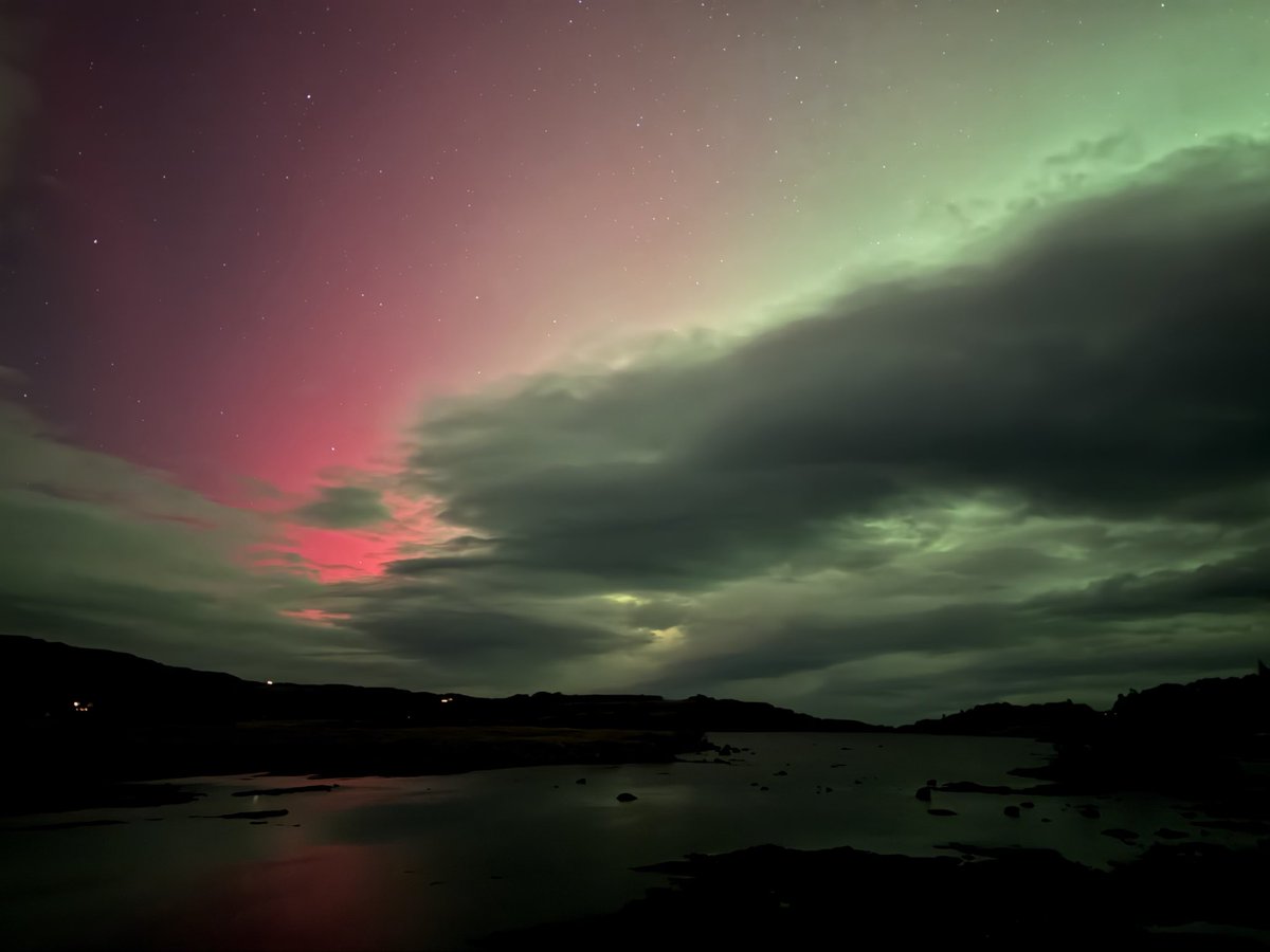 RayTheBorderOnMull 🐾 tweet media