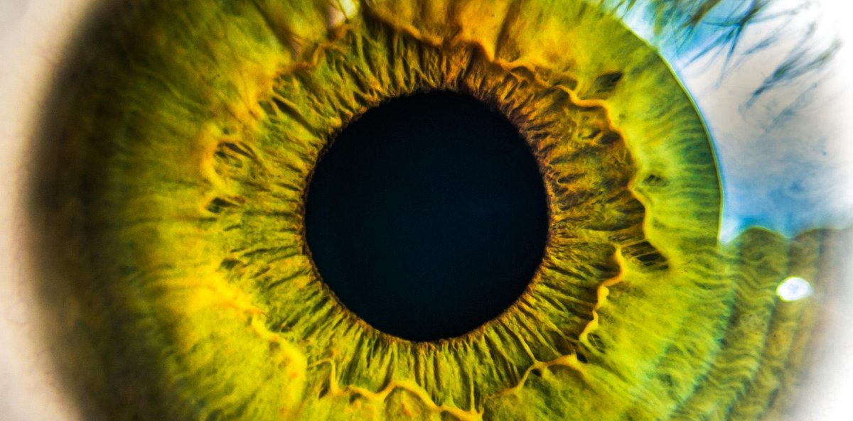 Complutense tweet media