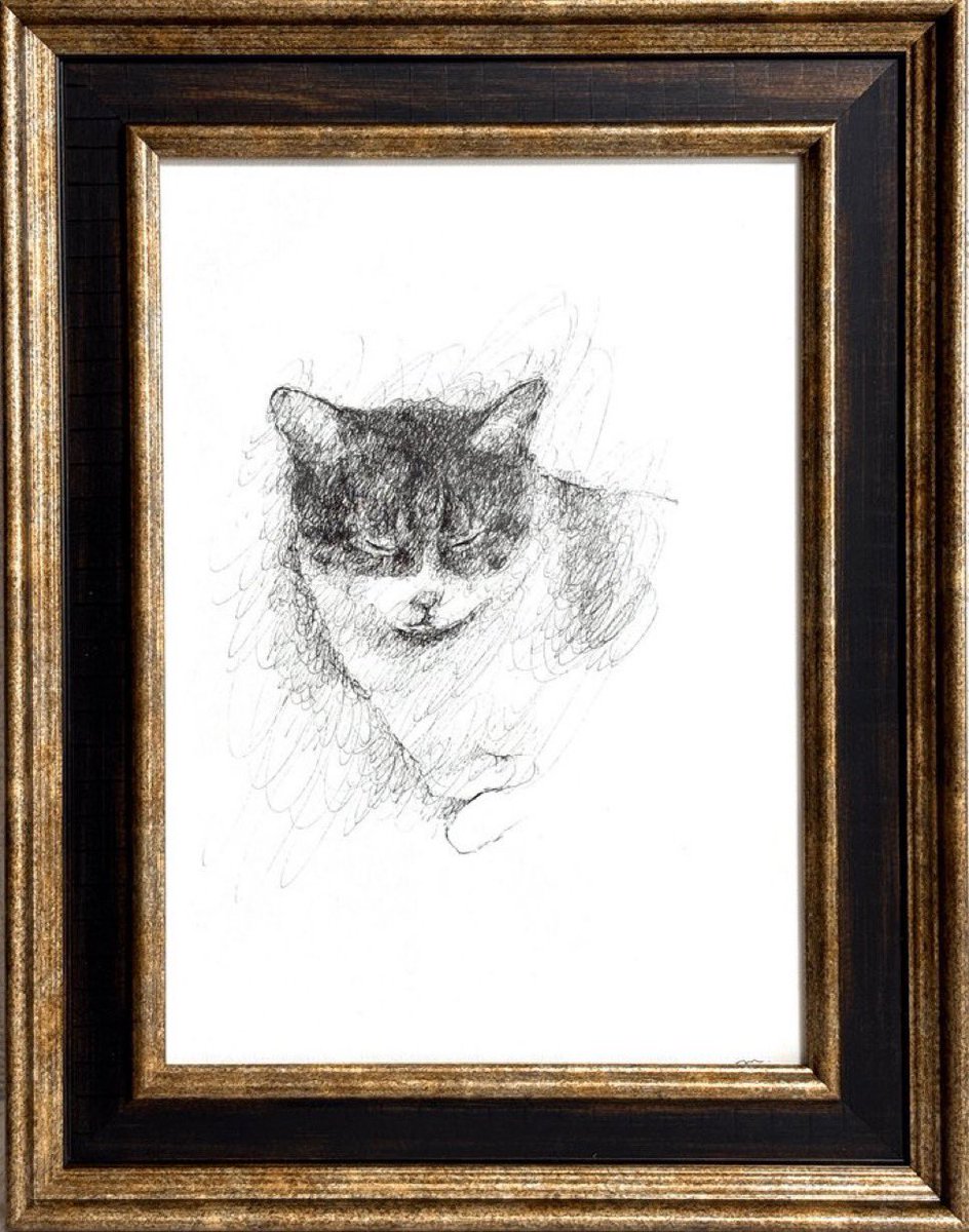 マスブチミナコ tweet media