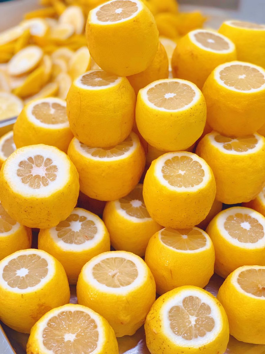 ワイエス（プロフ欄をお読み下さい） 名無し (@hEx4M8dvlxU8TXl) / Posts / X